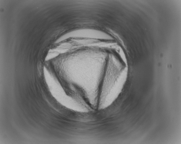 X0000082750069200702240049