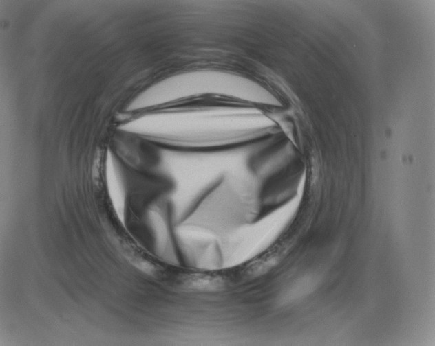 X0000082750073200702240049