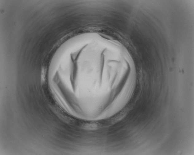 X0000082750075200702240049