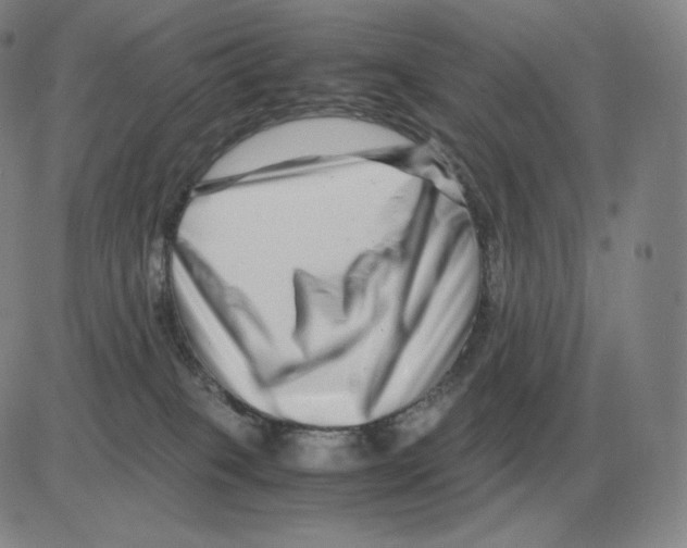 X0000082750085200702240049