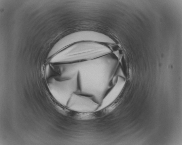 X0000082750093200702240049