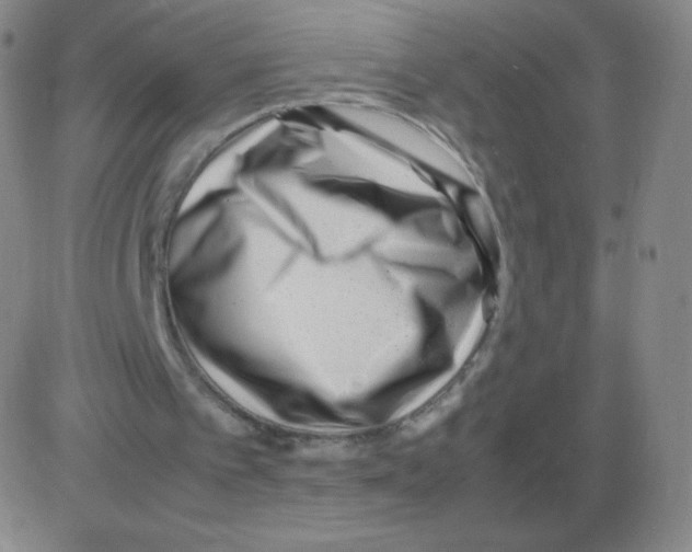 X0000082750097200702240049