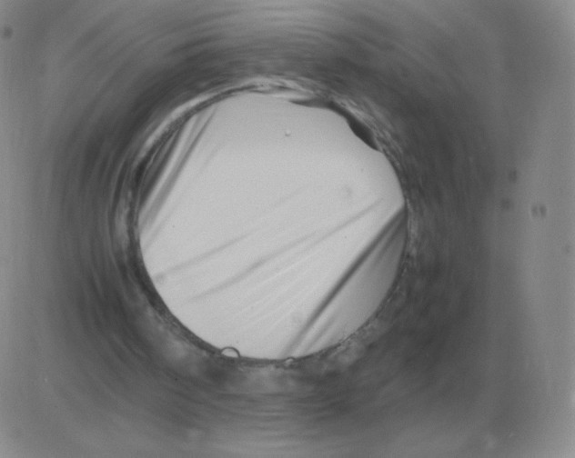 X0000082750098200702240049