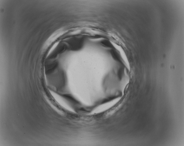 X0000082750101200702240049