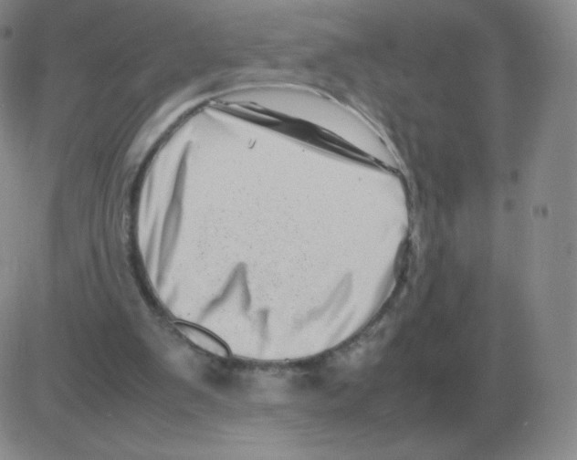 X0000082750103200702240049