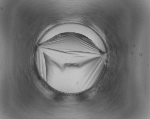 X0000082750107200702240049