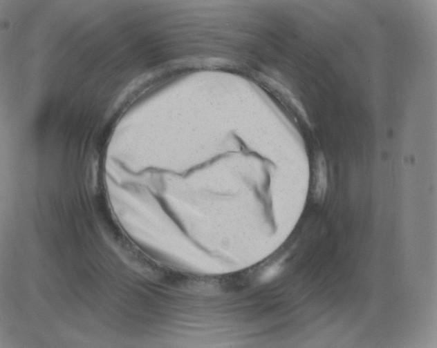 X0000082750110200702240048