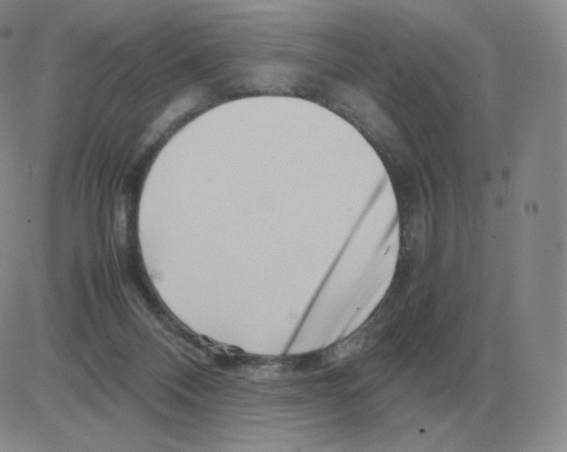 X0000082750120200702240048