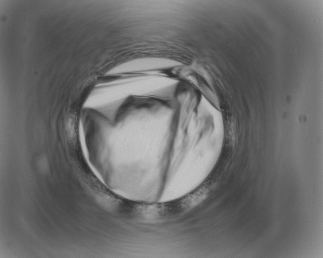 X0000082750131200702240048