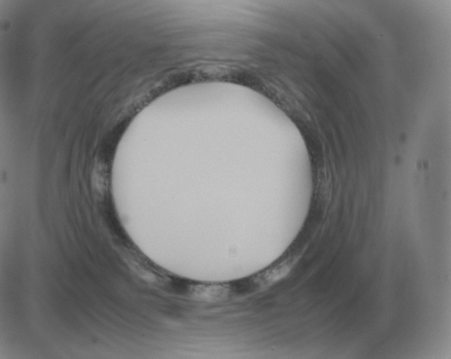 X0000082750135200702240048