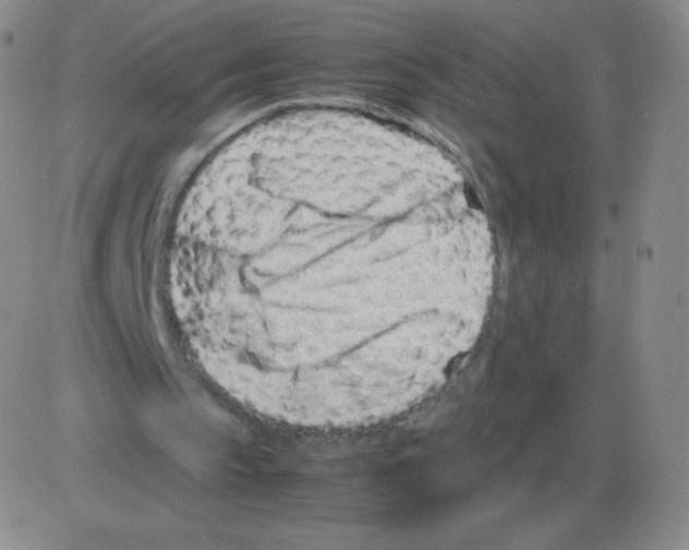 X0000082750145200702240047