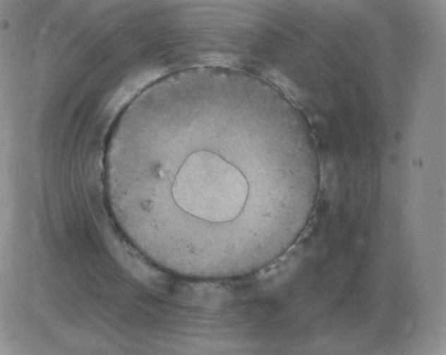 X0000082750146200702240047