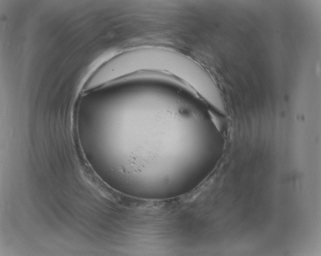 X0000082750148200702240047