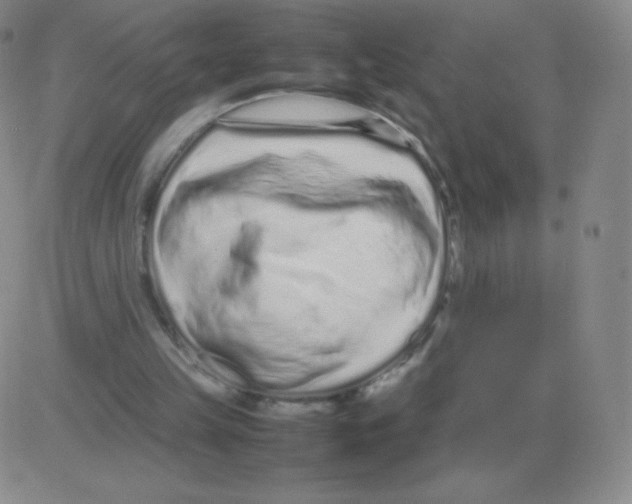 X0000082750149200702240047