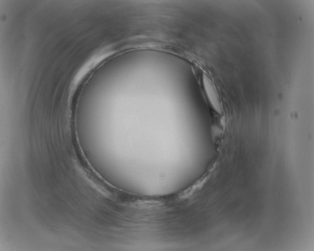 X0000082750150200702240047