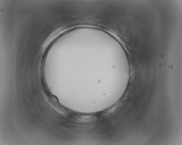 X0000082750151200702240047