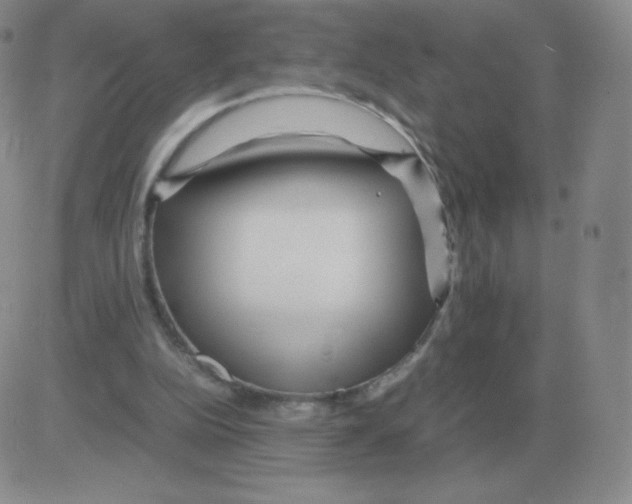 X0000082750152200702240047