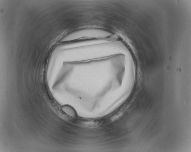 X0000082750153200702240047