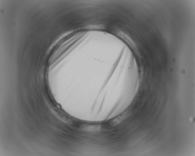 X0000082750155200702240047