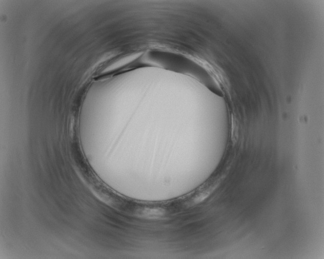 X0000082750157200702240047