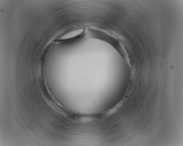 X0000082750158200702240047