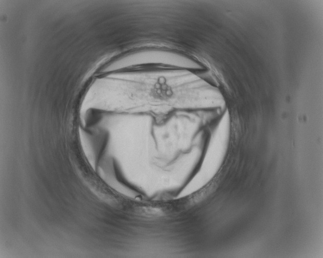 X0000082750159200702240047