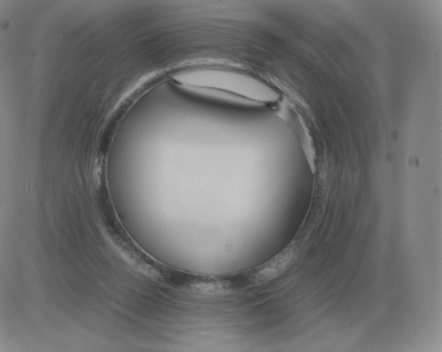 X0000082750160200702240047