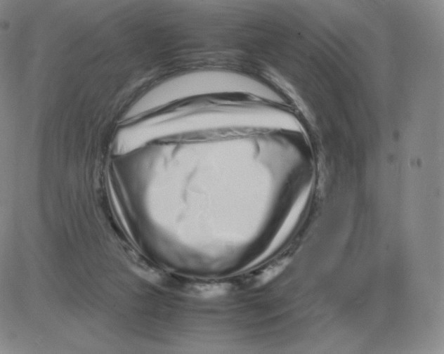 X0000082750161200702240047