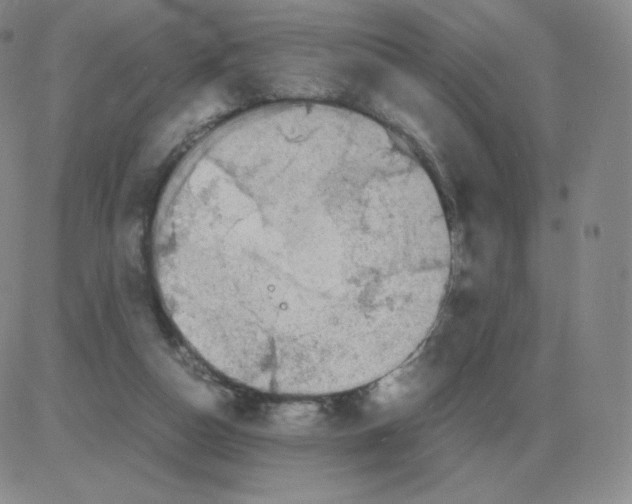 X0000082750162200702240047