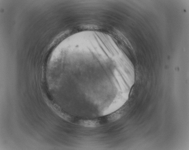 X0000082750163200702240047