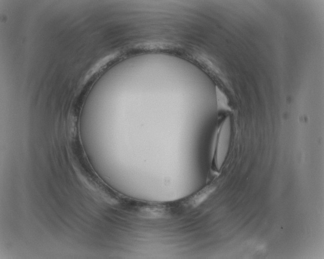 X0000082750164200702240047