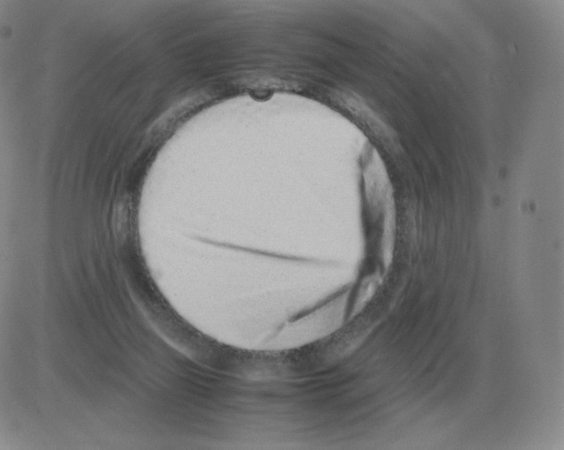 X0000082750165200702240047