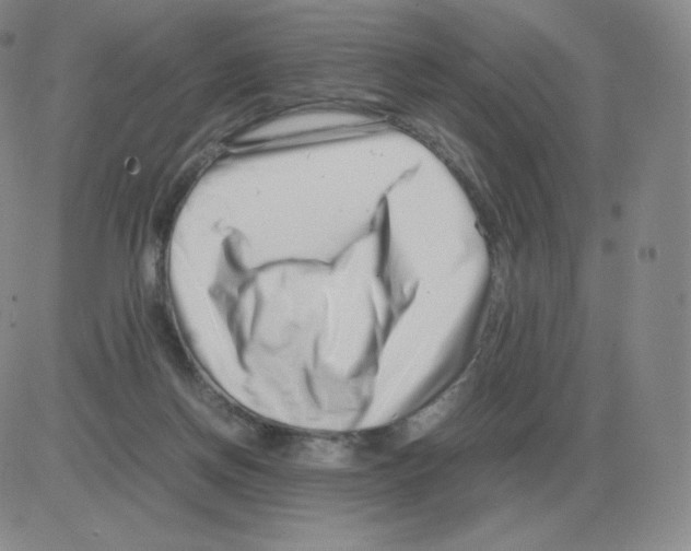 X0000082750166200702240047