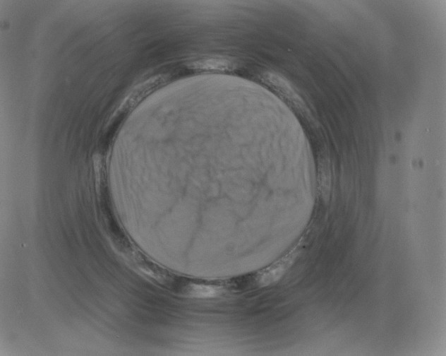 X0000082750167200702240047