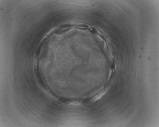 X0000082750168200702240047