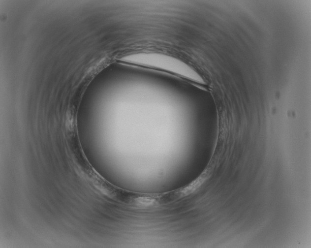 X0000082750176200702240048