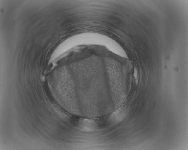 X0000082750180200702240048