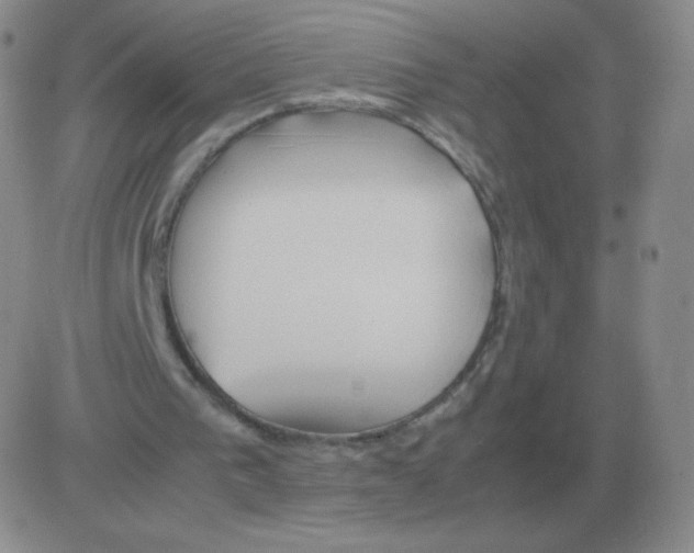 X0000082750193200702240047