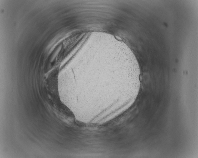 X0000082750194200702240047