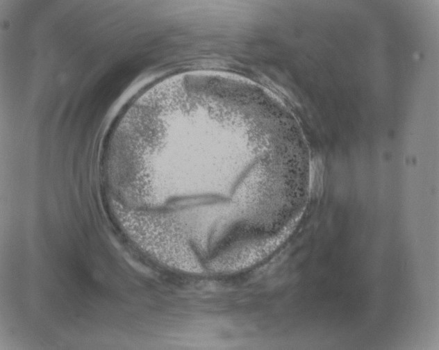 X0000082750195200702240047