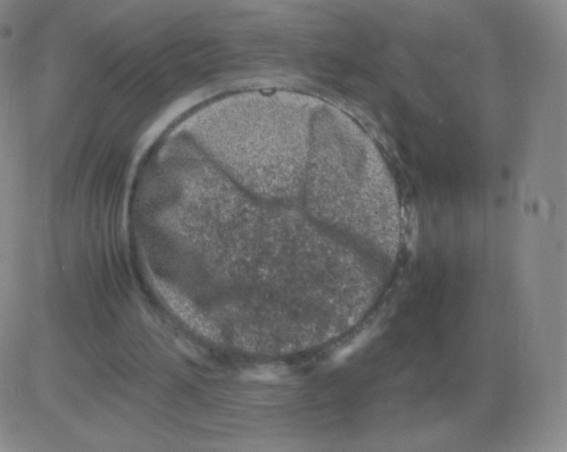 X0000082750196200702240047