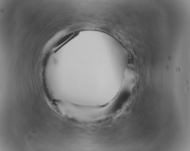 X0000082750197200702240047