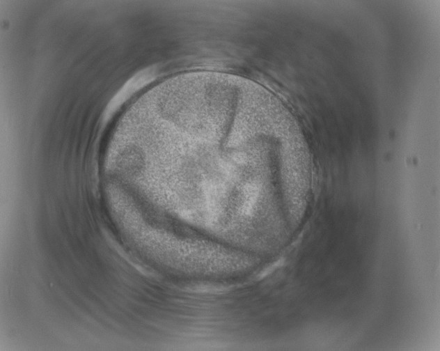 X0000082750198200702240047