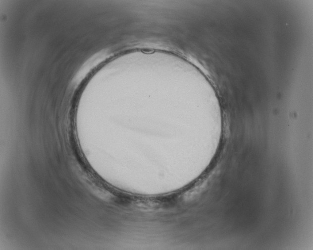 X0000082750199200702240047