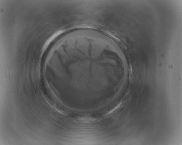 X0000082750200200702240047