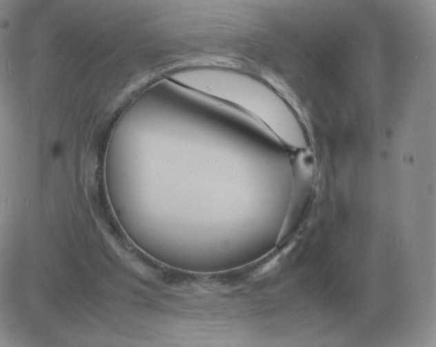 X0000082750201200702240047