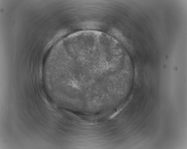 X0000082750202200702240047