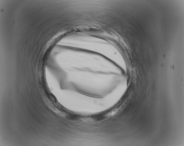 X0000082750203200702240047