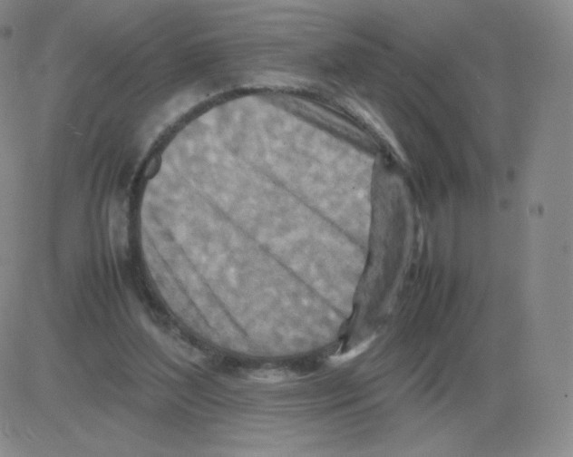 X0000082750204200702240047