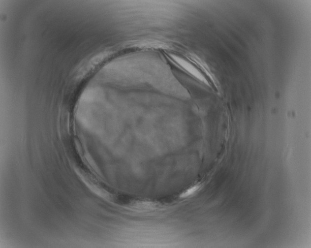 X0000082750205200702240047